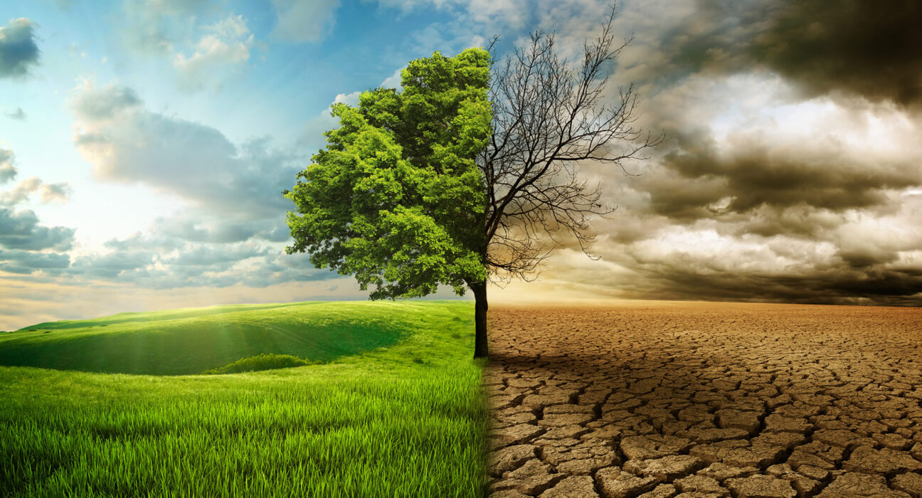 Global Warming - Climate Change - Image Divided Between Grassland and Desert.